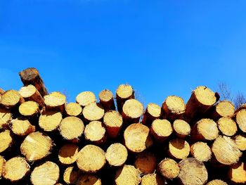 Stack of logs in forest against clear blue sky