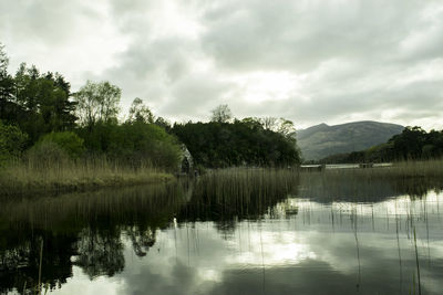 Scenic view of lake by trees against sky