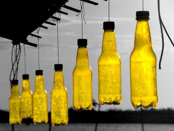 Close-up of yellow bottles in row