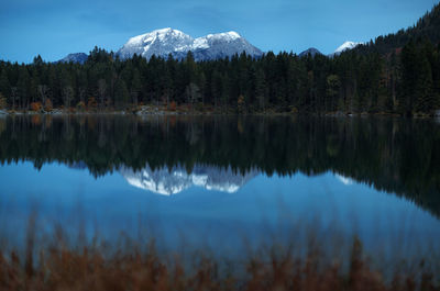 Reflection of trees in lake against sky