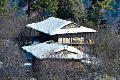 House on field by trees in forest