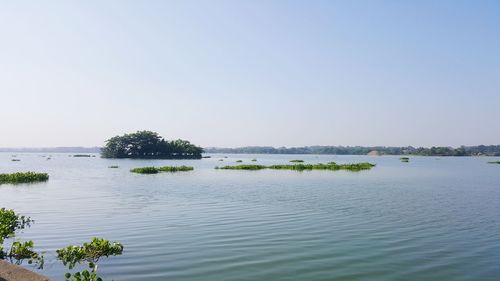 Scenic view of sea against clear sky