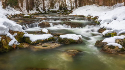 River flowing in forest