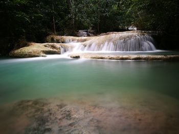 Scenic view of waterfall in forest