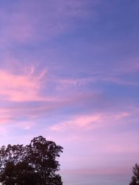 Low angle view of silhouette tree against sky at sunset