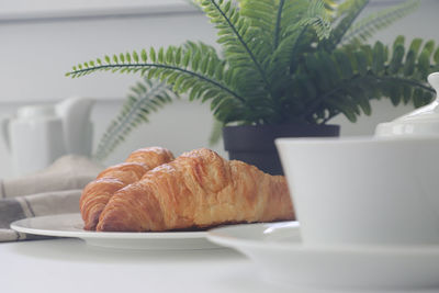 Close-up of breakfast served on table