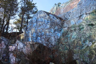 Low angle view of rock formation amidst trees against sky