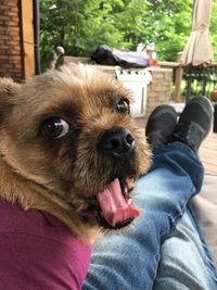 Low section of person with dog