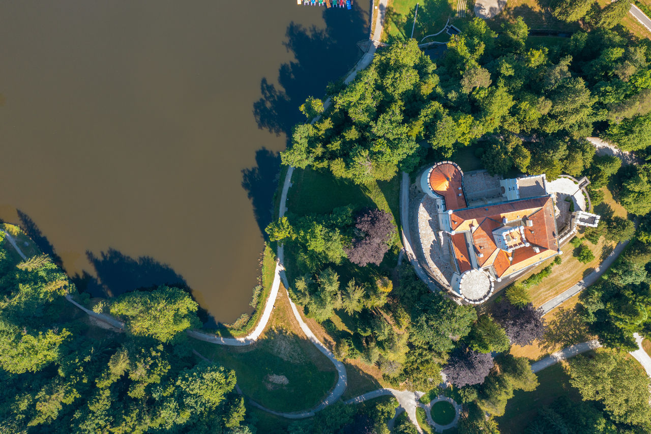 HIGH ANGLE VIEW OF TREES AGAINST SKY