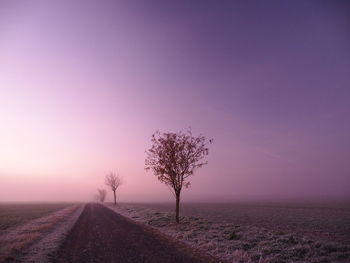 Scenic view of road amidst field against sky during sunset