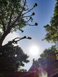 Low angle view of silhouette trees against clear sky