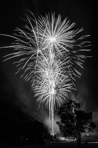 Low angle view of firework display at night