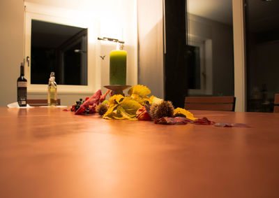 Potted plants on table at home