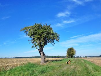 Scenic view of grassy field against cloudy sky