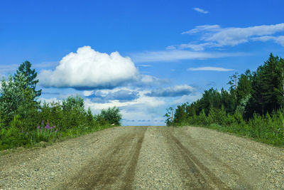 Road amidst trees against sky