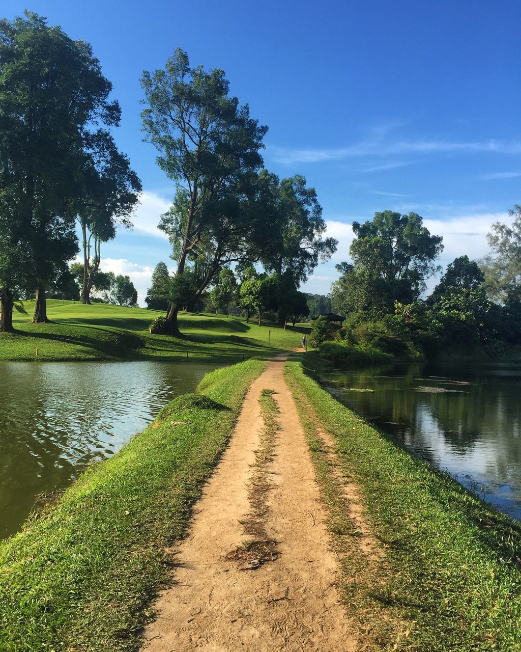 tree, water, tranquil scene, tranquility, the way forward, growth, sky, lake, nature, beauty in nature, scenics, diminishing perspective, narrow, footpath, green color, long, canal, day, non-urban scene, riverbank, curve, outdoors, vanishing point