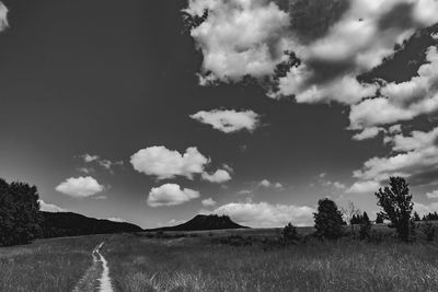 Scenic view of field against sky