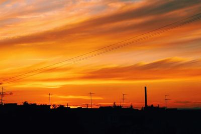 Silhouette of trees at sunset