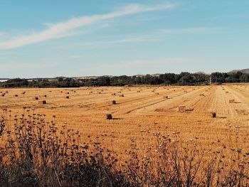 Hay bales on field against sky