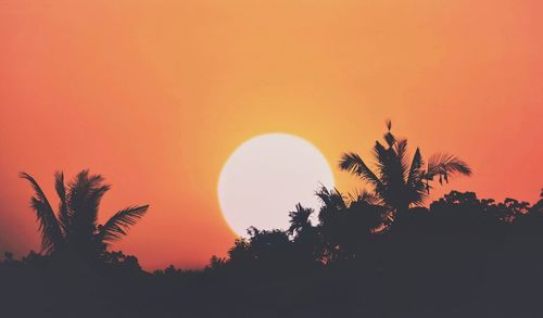 Silhouette trees against orange sky