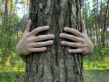 Low section of woman in forest