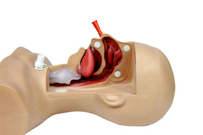 Close-up of cake against white background