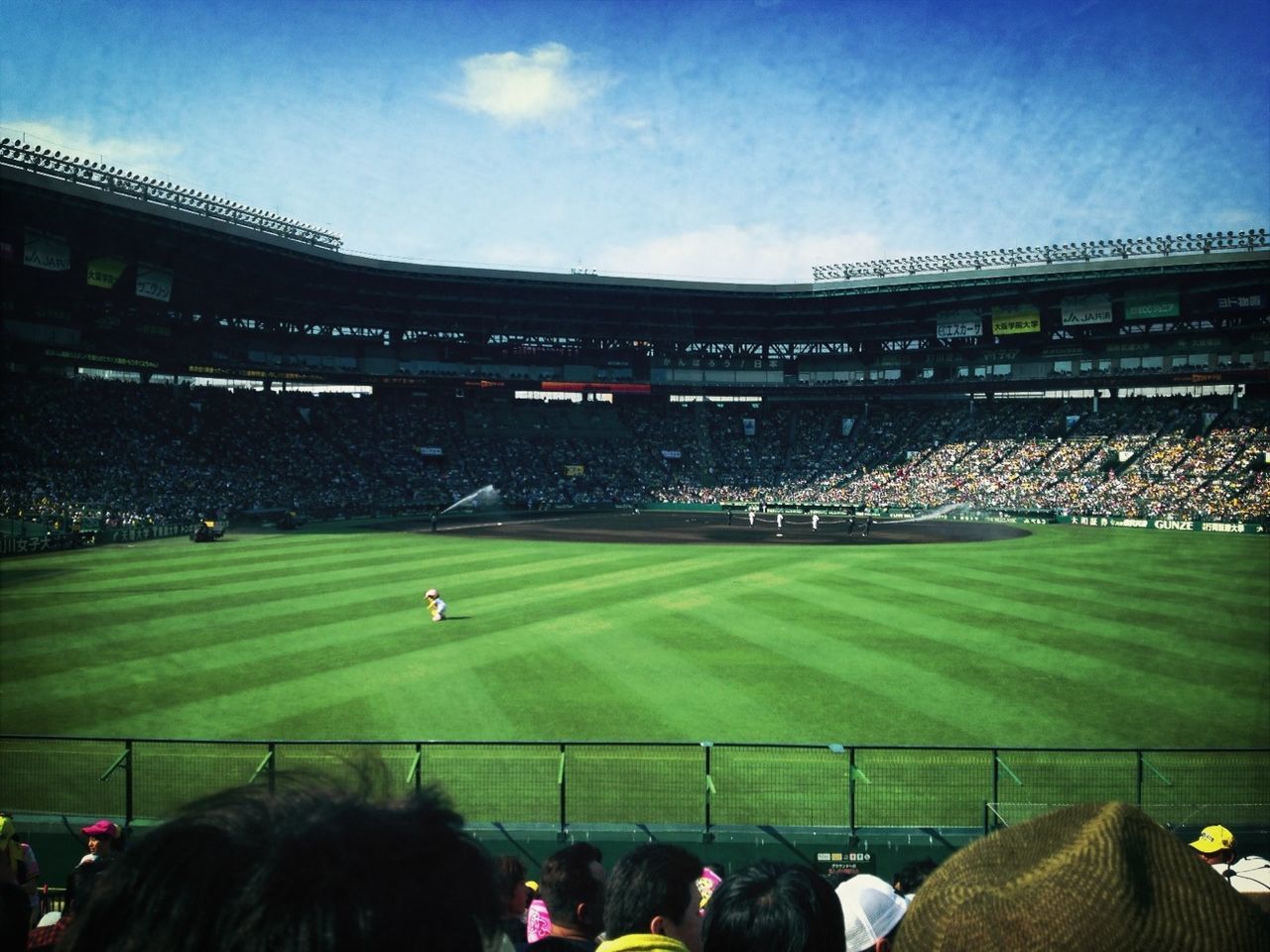 men, large group of people, grass, leisure activity, lifestyles, person, sky, green color, field, crowd, built structure, architecture, building exterior, rear view, togetherness, landscape, blue, domestic animals, outdoors