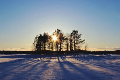 Trees on snow covered landscape against sky during sunset