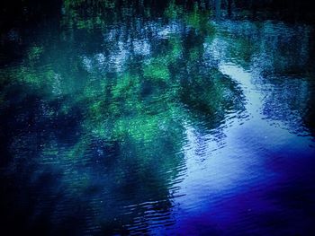 Reflection of trees in water