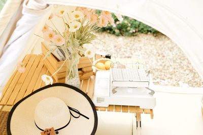 High angle view of potted plant on table