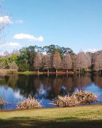 Reflection of trees in calm lake