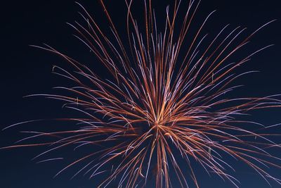 Low angle view of firework display at night