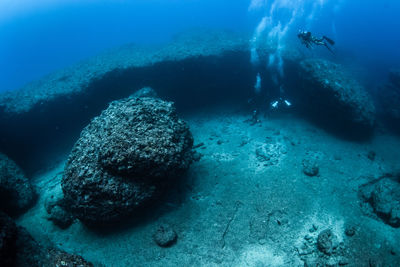 View of person swimming in sea