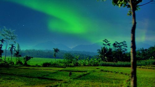 Scenic view of field against sky at night