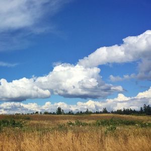 Scenic view of landscape against cloudy sky