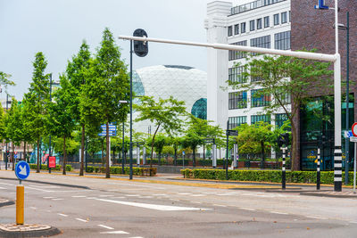 Road by trees and buildings in city