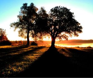 Scenic view of landscape at sunset