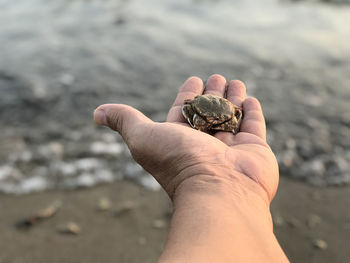 Midsection of man holding sea shore