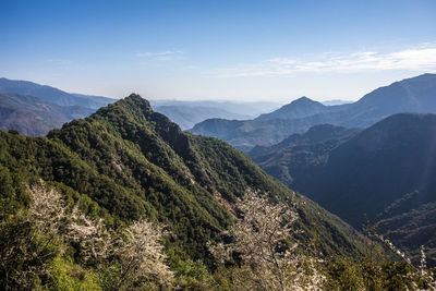 Idyllic shot of mountains in sequoia national park against sky