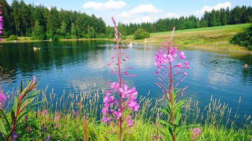 Scenic view of lake against sky