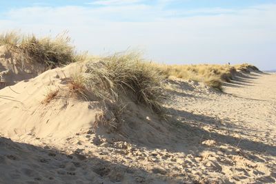 Sand dune on beach against sky