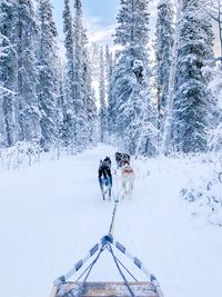 Rear view of people on snow covered land