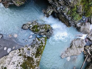 High angle view of river in forest