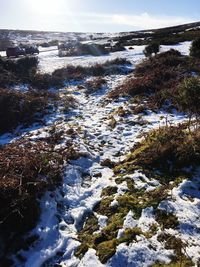 Scenic view of stream against sky during winter