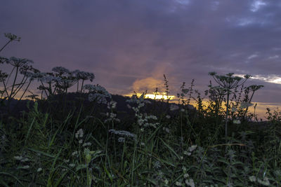 Scenic view of field against cloudy sky