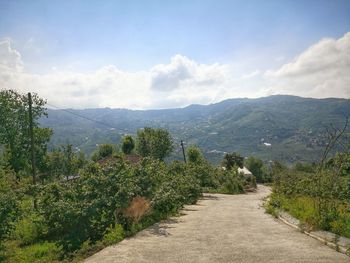 Turkey trabzon road amidst plants and trees against sky 