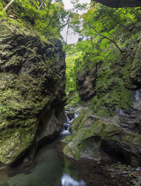 Stream flowing through rocks in forest