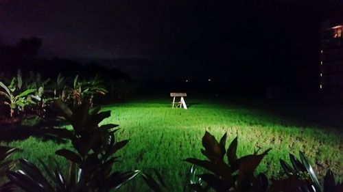 Plants growing on field against sky at night