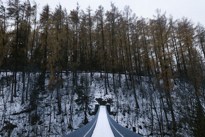 Panoramic view of trees in forest during winter
