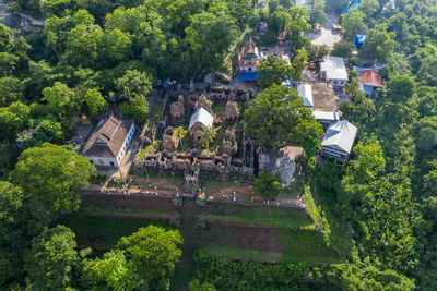 High angle view of trees and building